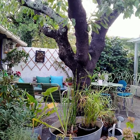 Le Citronnier * 拉马卢莱班