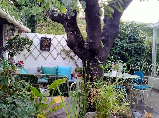 Le Citronnier * Lamalou-les-Bains